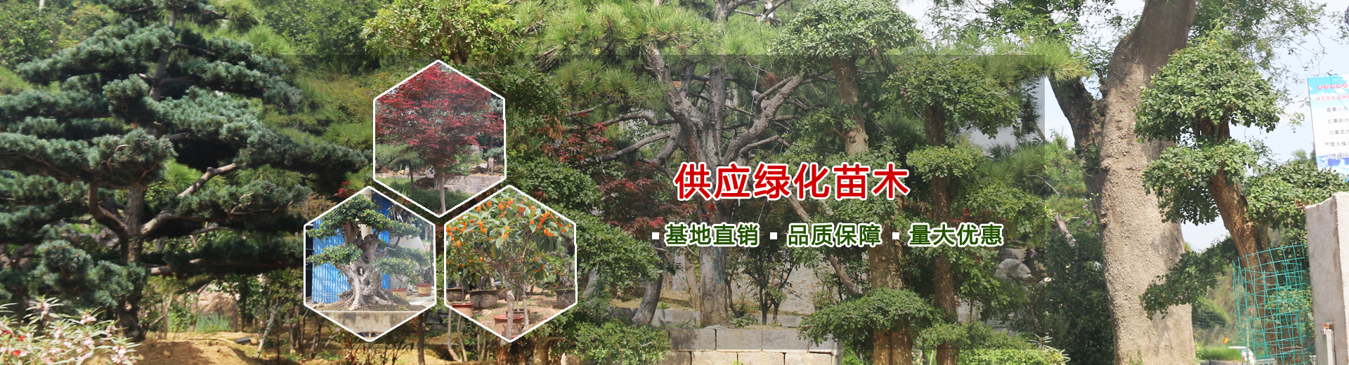 泰安市魯銘金屬制品有限公司 